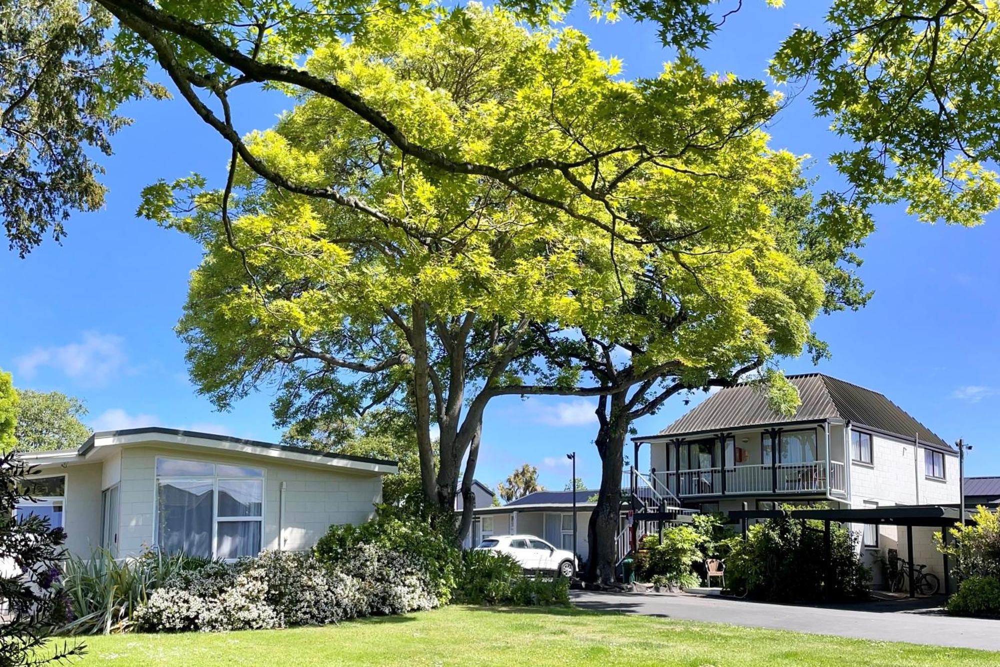 Ashleigh Court Motel-Christchurch Hagley Park Exterior photo